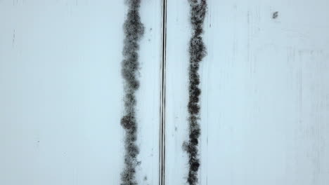 aerial footage of an empty, snow covered road between birch alley - top down view on cloudy winter day, revealing a slippery and dangerous turn