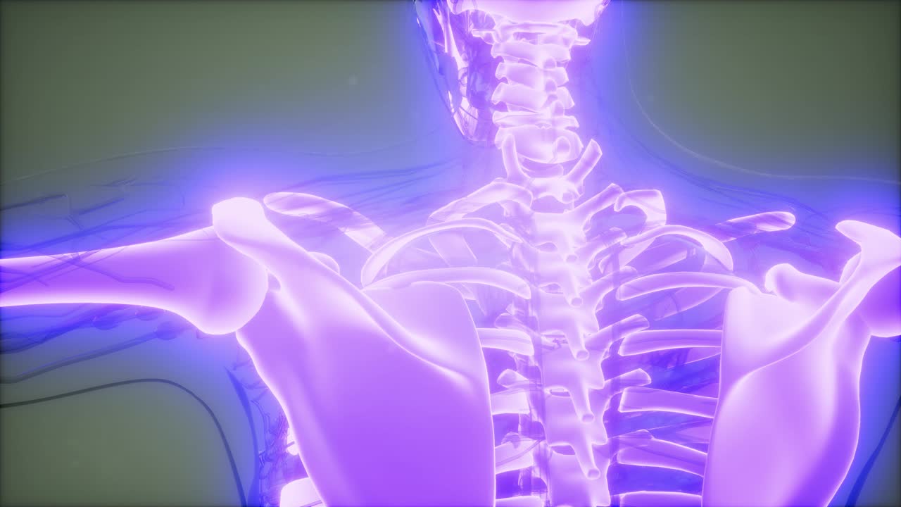 눈에 띄는  ⁇ 가 있는 투명한 인간 몸