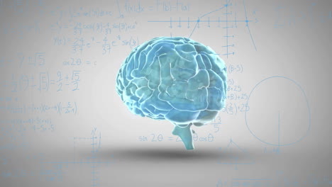 animation of transparent brain over geometric diagrams and mathematical equations