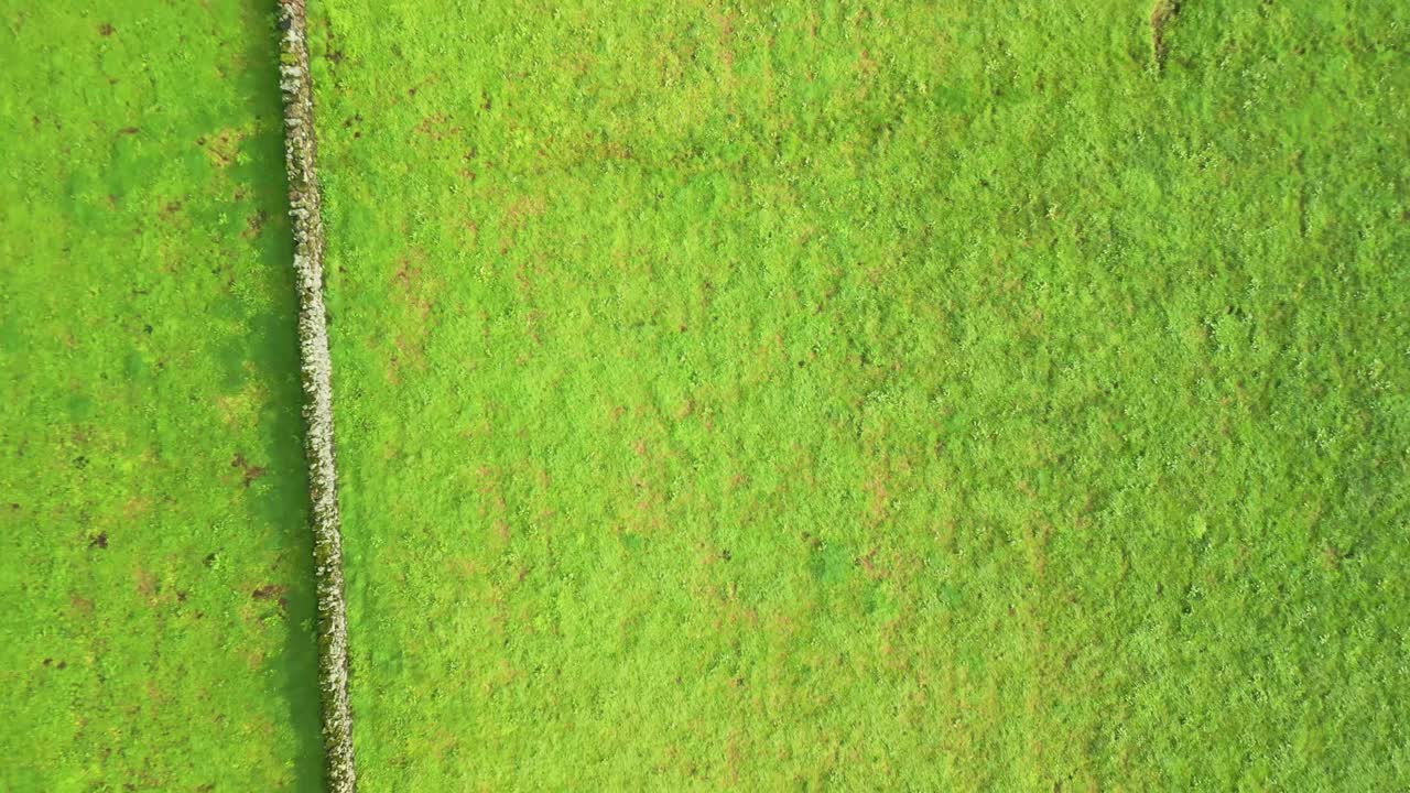 Aerial view from drone of Terceira Island - Green fields