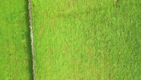 aerial view from drone of terceira island - green fields