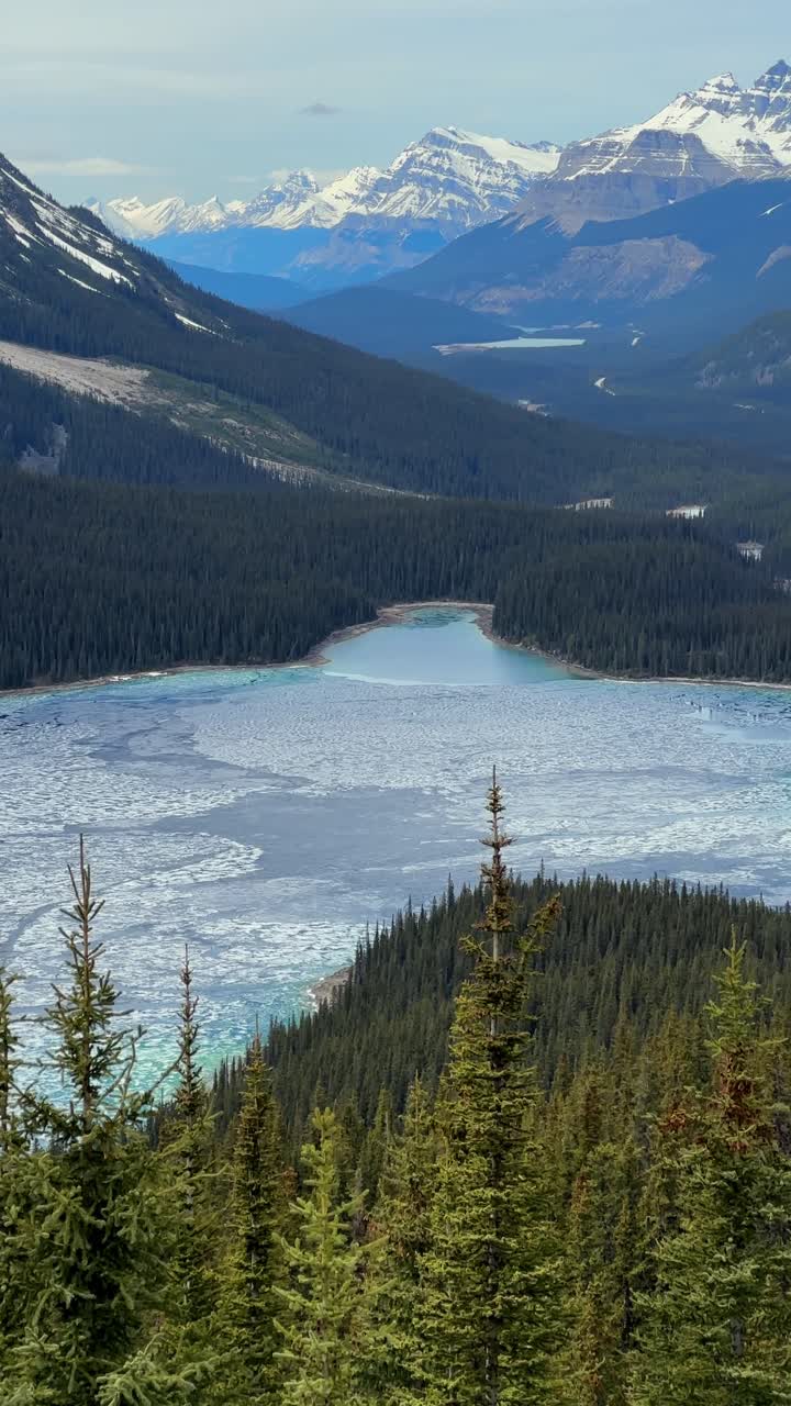 Lago Peyto con ghiaccio incrinato e acque turchesi alla base di montagne innevate e foreste di pini nel Parco Nazionale di Banff
