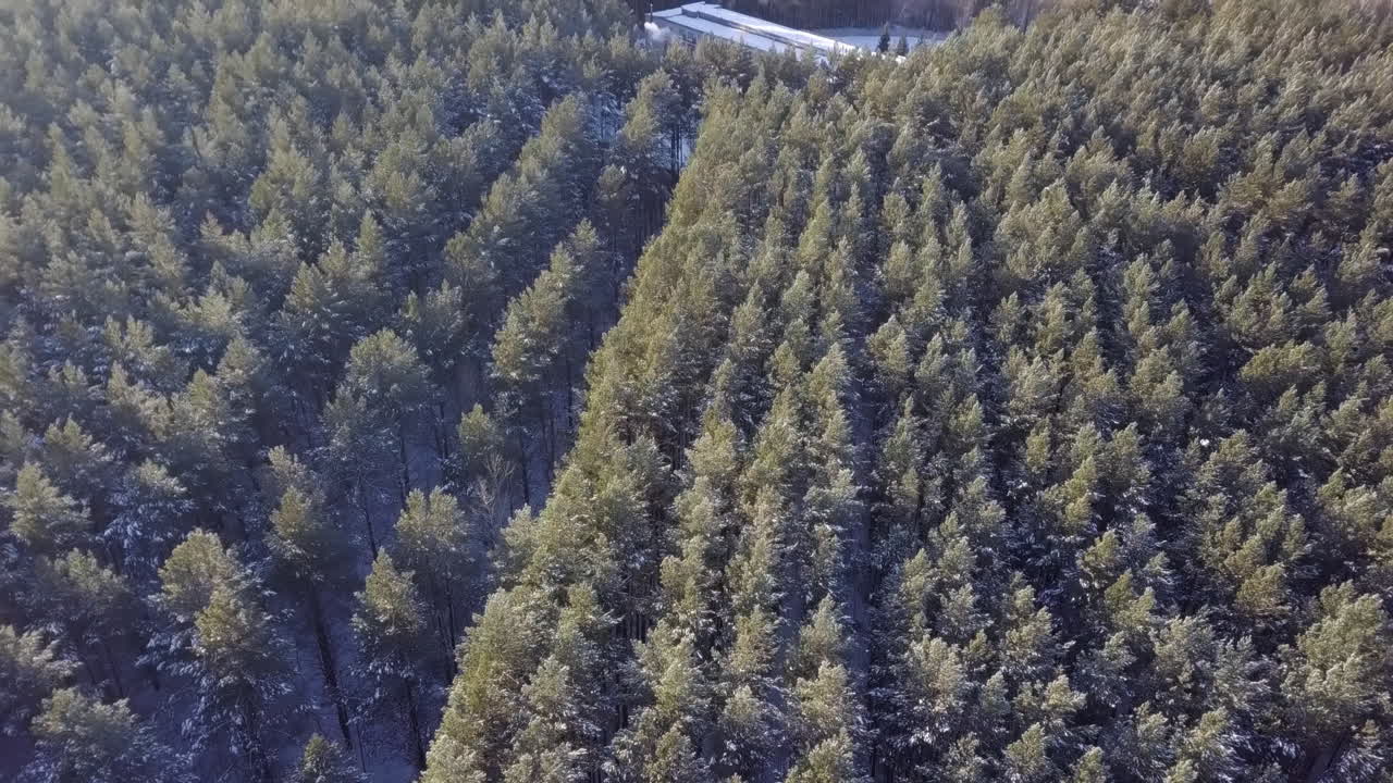 雪と建物の冬の森