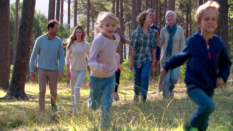 une famille de plusieurs générations avec des enfants qui courent dans la nature.