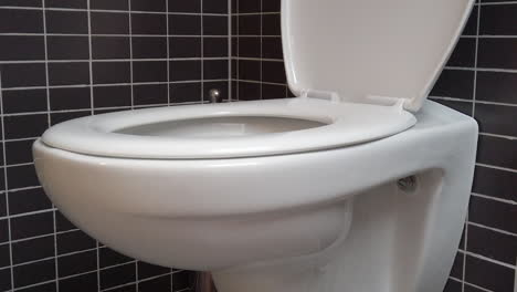 toilet bowl, lavatory in modern bathroom with black and grey tiles, hd 1080p, open lid, tilt up shot