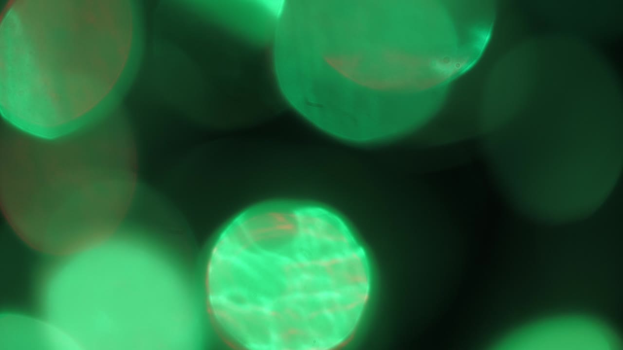 Multicolor blurry light circles bokeh effect moving around