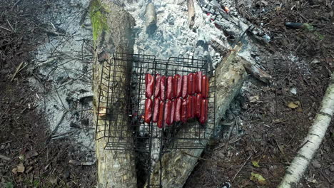 grilling delicious sausages on burning flame in forest area, zoom in view