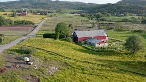 Barn-House-And-Farm-Field-In-Indre-Fosen,-Norway---aerial-drone-shot