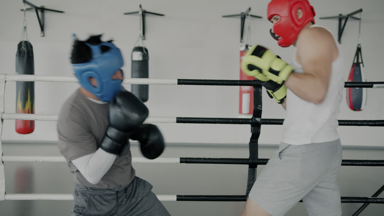 권투 훈련 세션