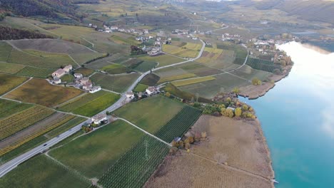 aerial drone over the vineyards over the caldaro lake in autumn in south tyrol