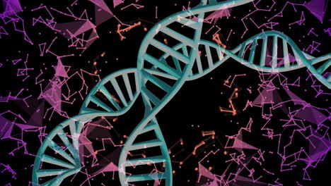 dna strands and geometric shapes, scientific data processing animation