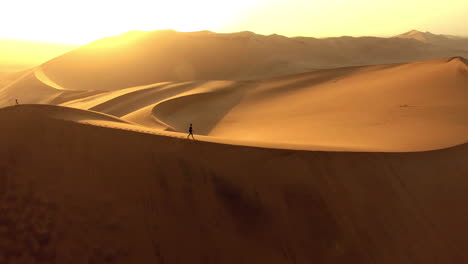 alone amongst the dunes