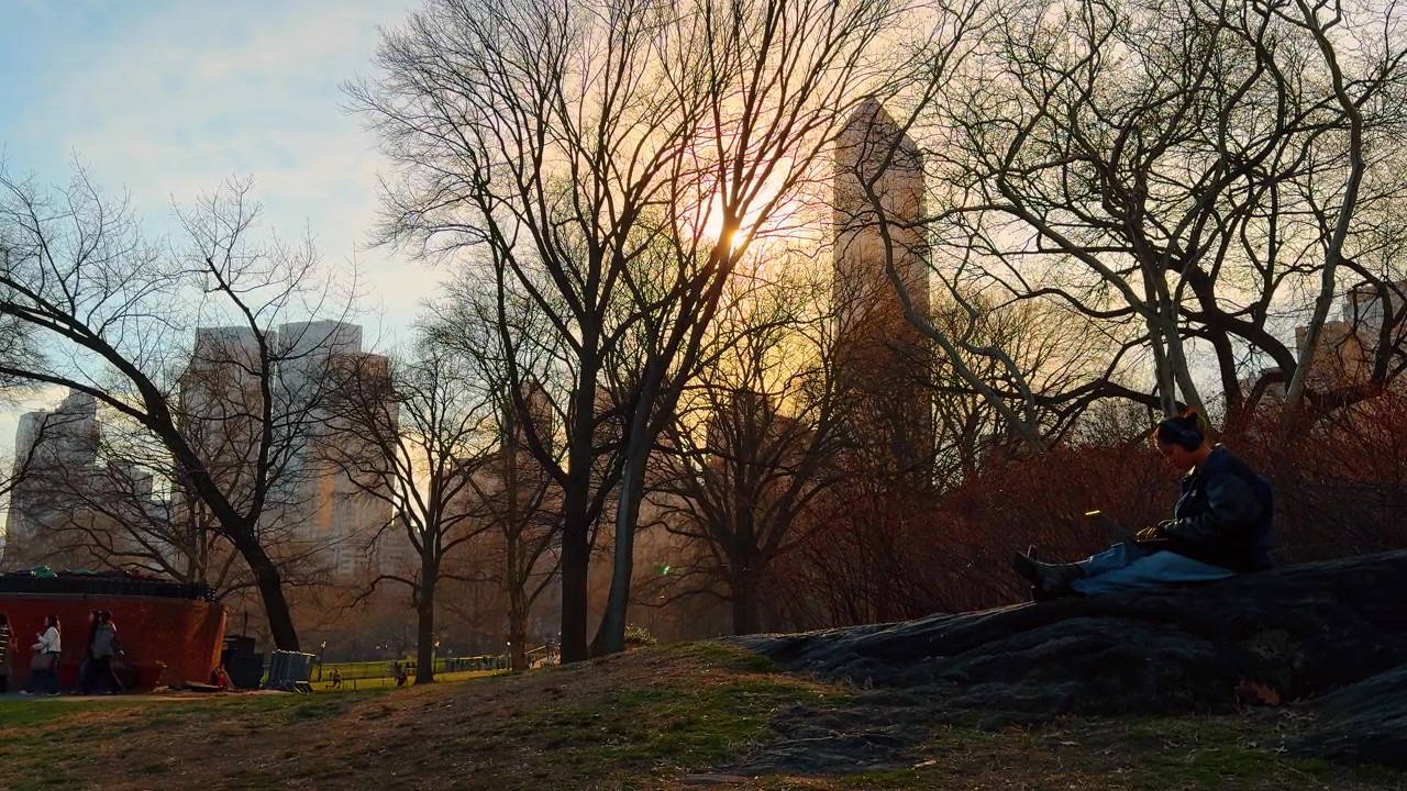 New York, USA, 8. marts 2026: Person bruger bærbar computer i Central Park New York ved solnedgang. Silhuet af en person, der sidder på klipper i Central Park med skyskrabere og solnedgang.