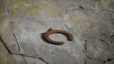 one old rusty metal horseshoe