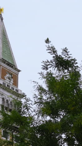 venice st. mark's campanile with trees