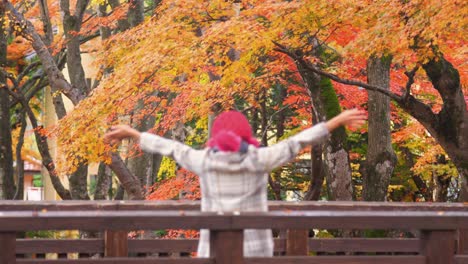 4k smiling young woman tourist standing on japanese wooden bridge and enjoy looking at beautiful maple tree with falling red maple leaves during autumn in japan. japan travel and season change concept