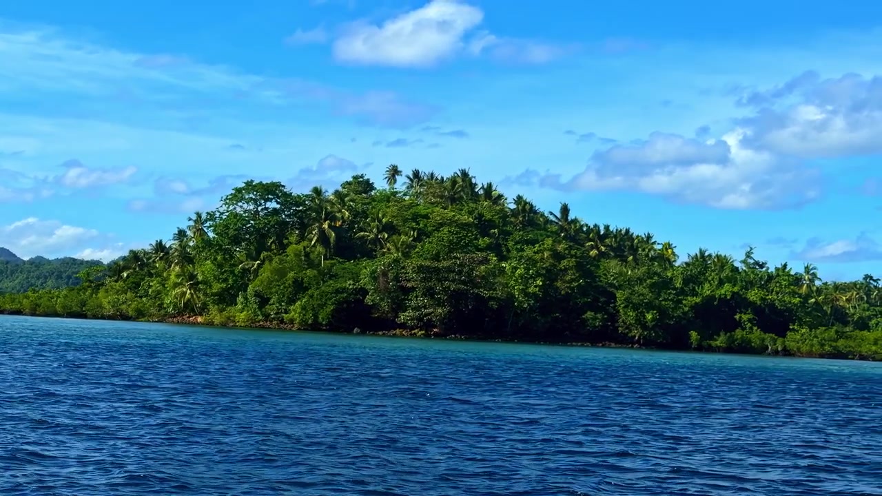 Aguas costeras panorámicas con tonos azules vibrantes en el Santuario de Medusas
