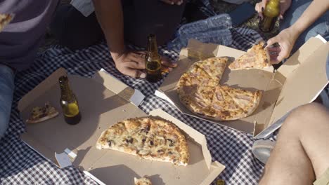 cropped shot of friends eating pizza during picnic.