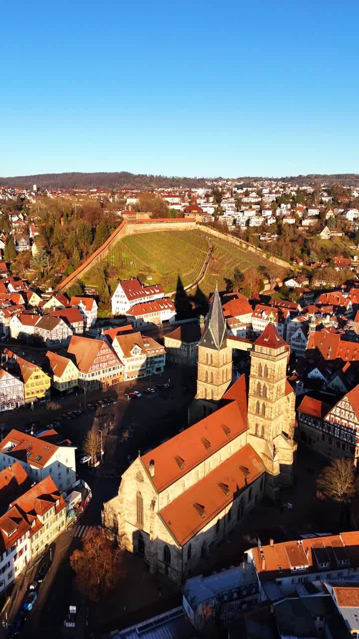 Una visuale verticale di un vigneto su una collina sopra la città di Esslingen, con vitigni terrazzati ed edifici circostanti in una limpida giornata invernale di sole. Ideale per turismo e viaggi per piattaforme mobili.