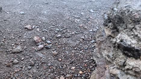 The inscription on the stone "Lava Tower. Arrow Glacier" on the path