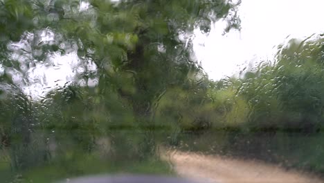 view through the wet window on nature in the rain