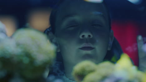 happy girl looking at fish in aquarium curious child watching colorful sea life swimming in tank learning about marine animals in underwater ecosystem inquisitive kid at oceanarium