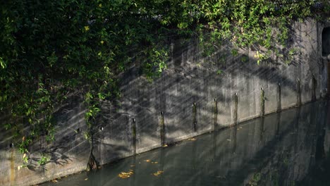 Early-morning-sunlight-shining-creating-light-rays-and-shadows