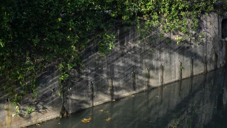 la luz del sol de la mañana brilla creando rayos de luz y sombras