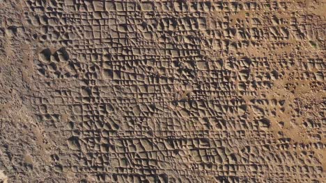 Vertical-scrolling-aerial-view-of-low-tide-boulder-field,-Hunstanton,-UK