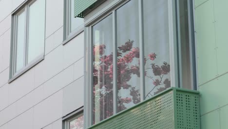 Tiro-En-ángulo-Bajo-De-Flores-De-Sakura-Reflejadas-En-El-Balcón-De-Cristal-De-Un-Edificio-Moderno