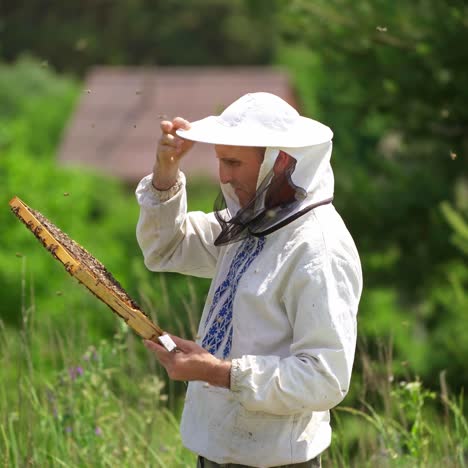 beekeeper in protective workwear