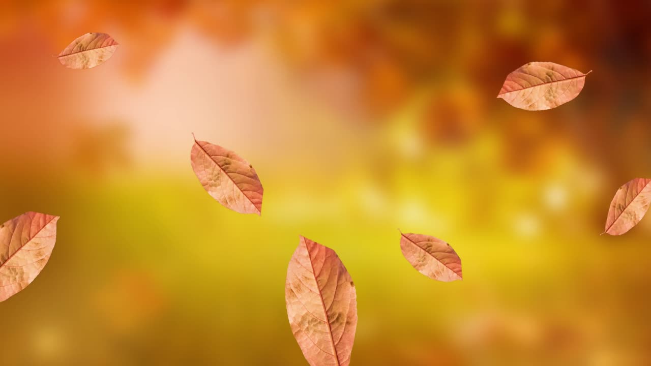 흐릿한 배경 위에 있는 잎 아이콘의 애니메이션