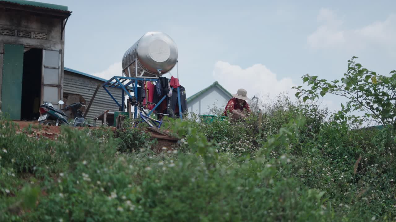 Rural Scene with Clothes Washing