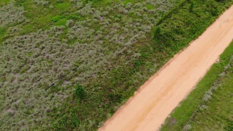 Aerial-Shot-of-old-dirt-road-beside-the-lake