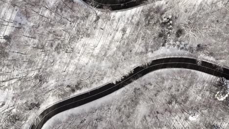 Flüssiger-Drohnenflug-über-Eine-Winterlandschaft-Als-Top-Down-Shot-Mit-Blick-Auf-Einen-Wald-Mit-Einer-Kurvenreichen-Straße,-Eingerahmt-Von-Schnee,-Während-Autos-Die-Straße-Entlang-Fahren