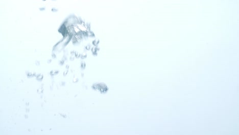 blank white surface