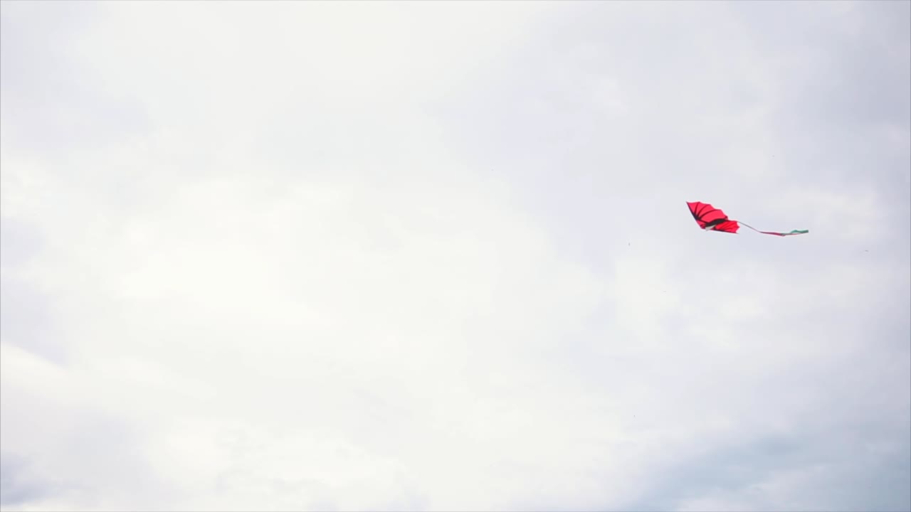 Red Kite in Cloudy Sky