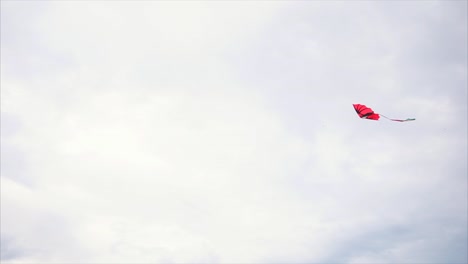 red kite in cloudy sky