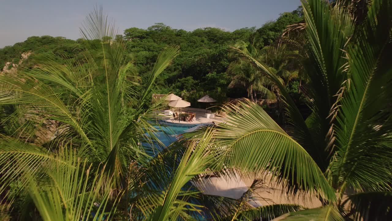 revelando el resort del hotel huatulco a través de las altas palmeras verdes en el méxico tropical