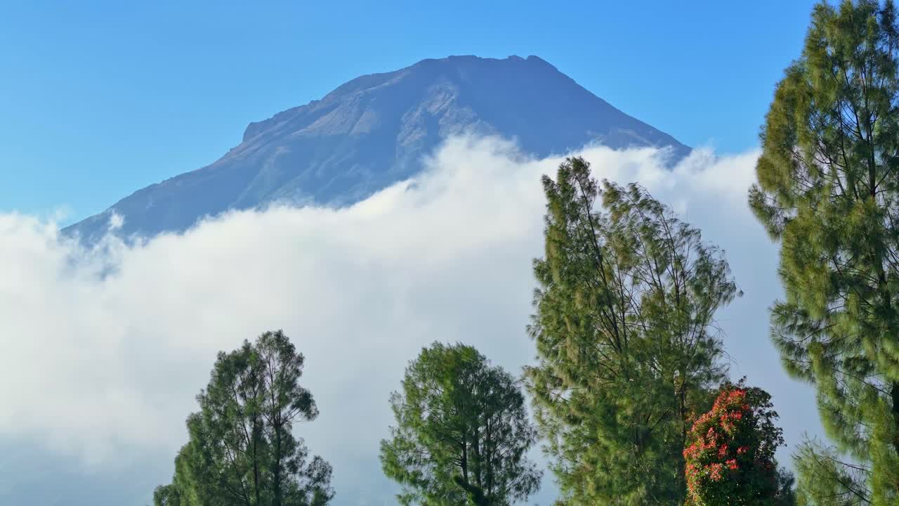 Açık bir günde, ön planda yeşil ağaçlarla bulutların üzerinde yükselen Sumbing Dağı.