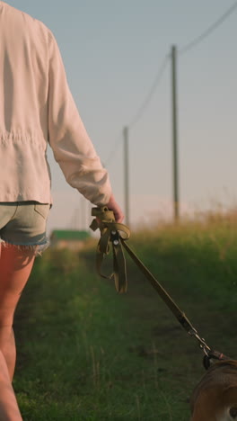back view of dog owner talking on phone while walking with dog on dirt path lined with electric poles, holding leash while both stroll through grassy rural field under bright sunlight
