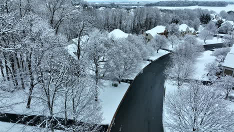 scenic winter view