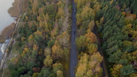 coche conduciendo en la carretera dw 216 en medio del bosque durante el otoño en la península de hel
