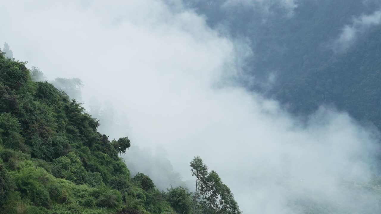 Nepal Timelapse of Clouds Moving in a Valley, Time Lapse of Cloud Rolling Quickly Over Forest Trees Scenery in the Himalayas Mountains Landscape in Annapurna Trekking Region on a Trek