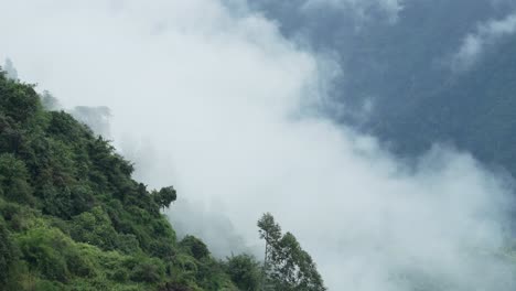 nepal timelapse of clouds moving in a valley, time lapse of cloud rolling quickly over forest trees scenery in the himalayas mountains landscape in annapurna trekking region on a trek