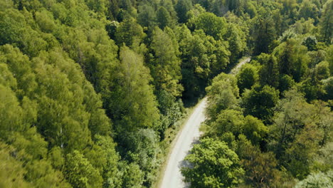 Bosques-Verdes-De-Letonia-En-El-Mes-De-Mayo