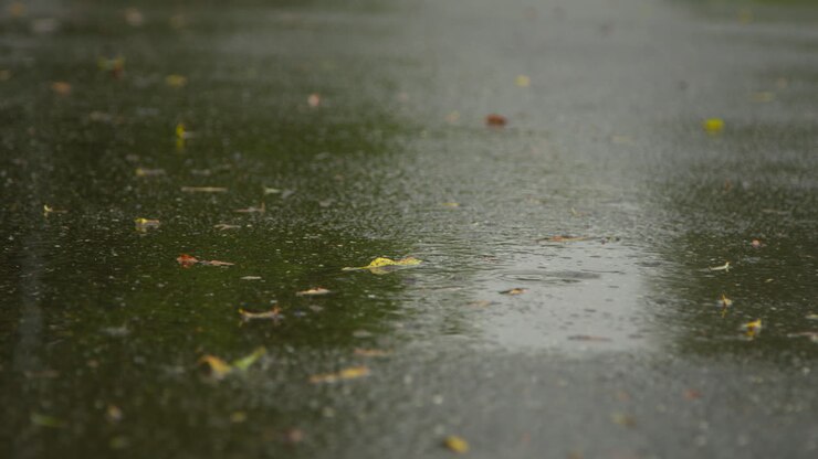 Primer plano de lluvia cayendo sobre un sendero que atraviesa un parque