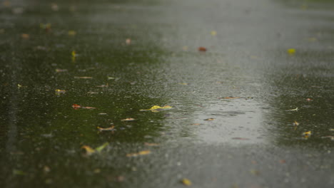 close up of rain falling on path running through park