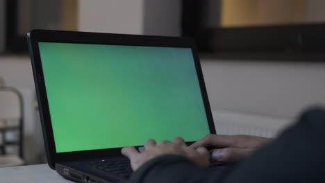 Computer-Greenscreen-Hände
