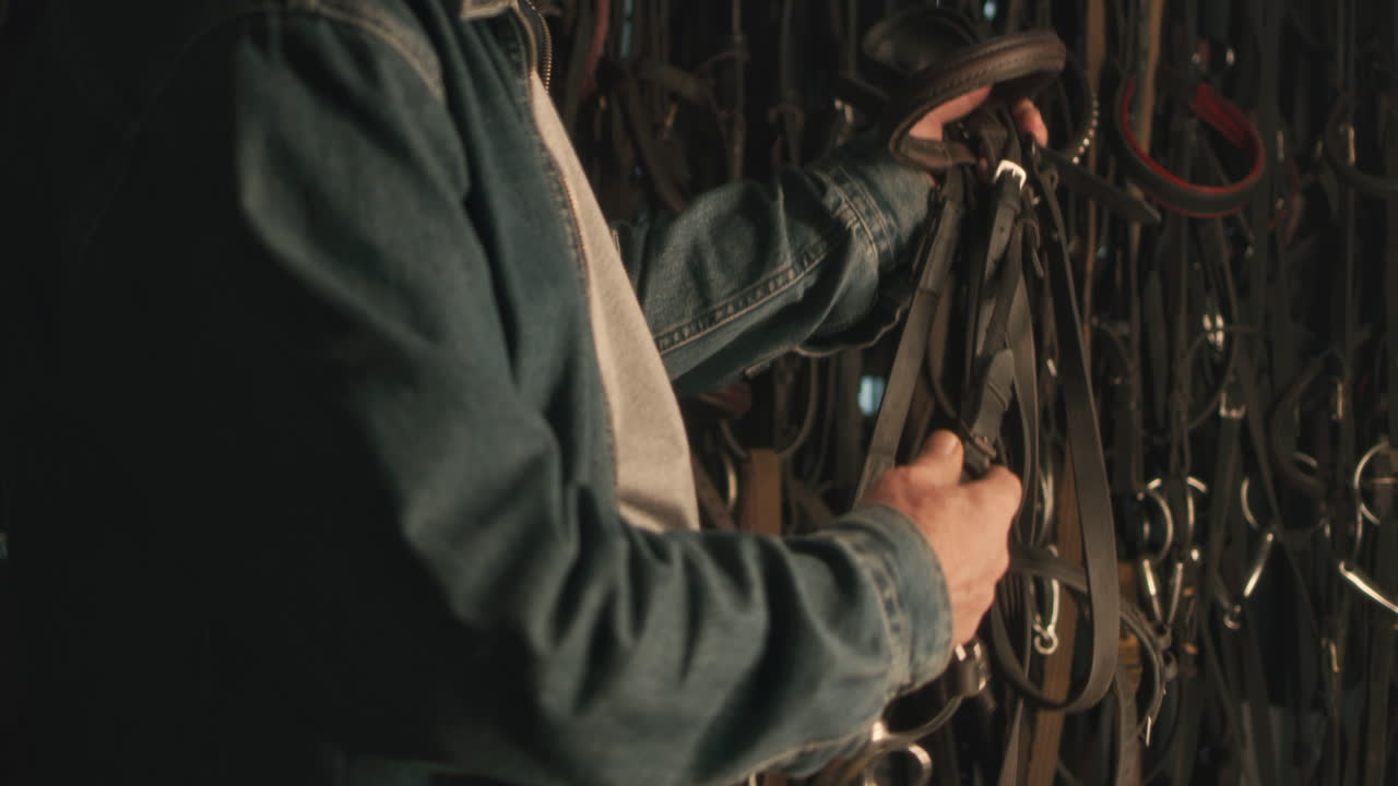 Person examining horse tack in a stable